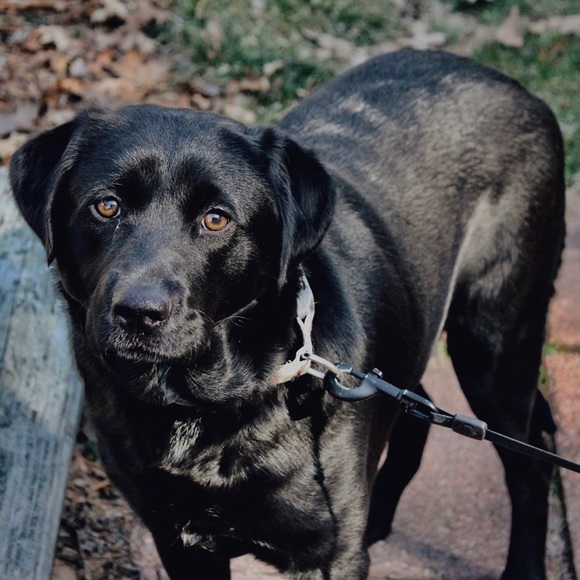 Meet Me! :) - Picture 4 of 6